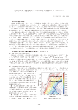 14.志布志湾及び鹿児島湾における津波の数値シミュレーション