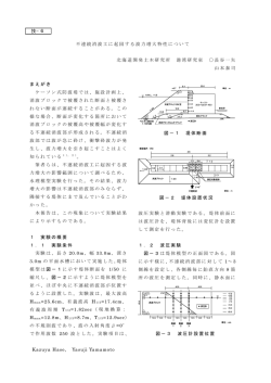 不連続消波工に起因する波力増大特性について
