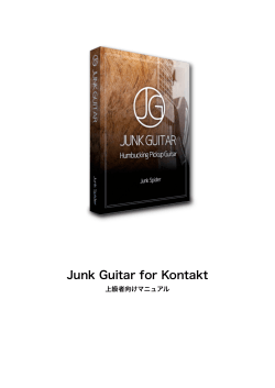 Junk Guitar for Kontakt V1 Manual 上級者向け