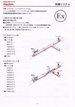 炒邊 - 西都電機株式会社
