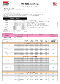 JAL 帰任パッケージ