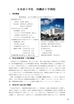 (2)沖縄赤十字病院