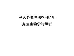 子宮外発生法について