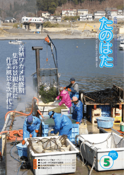 養殖ワカメ最盛期 集落 景観 共 作業風景 次世代