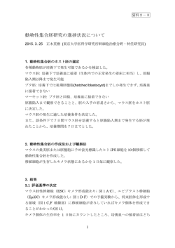 動物性集合胚研究の進捗状況について