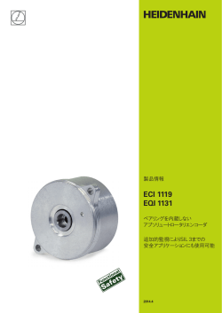 ECI 1119/EQI 1131