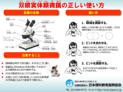 双眼実体顕微鏡の正しい使い方（PDF:660KB）