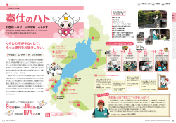 奉仕のハト