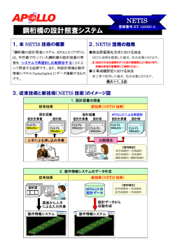 NETIS設計照査システム PDF