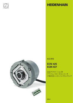 ECN 425/EQN 437