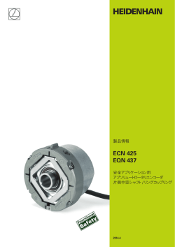 ECN 425/EQN 437