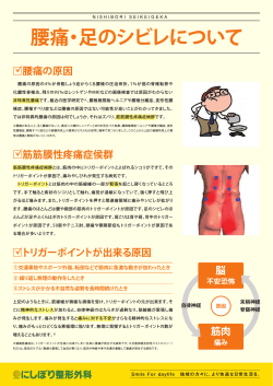 腰痛・足のシビレについて [PDF:618KB]