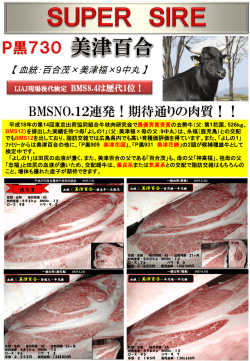 「P黒730 美津百合」 枝肉成績続々判明！！BMS12続出！！