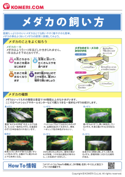 メダカの飼い方 - コメリドットコム