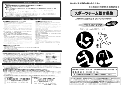 スポーツチーム総合保険