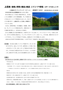 上高地・新緑と残雪の穂高の眺望、ニリンソウ群落、コテージで