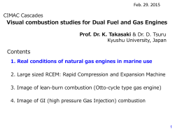 Visual combustion studies for Dual Fuel and Gas Engines