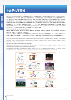 分子化学専修