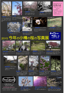 2015 今年の小樽の桜の写真展