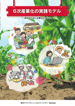 6次産業化の実践モデル（改訂版） (PDF 11907KB)