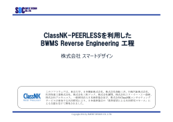 ClassNK-PEERLESSを利用した BWMS Reverse Engineering 工程