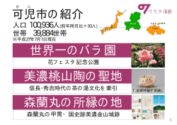 視察対応で使用しているものです