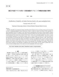 遺伝子改変マウスを用いた樹状細胞サブセットの機能的意義の解明