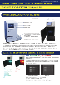 WSE-5200 プリントグラフ 2M（Printgraph 2M )