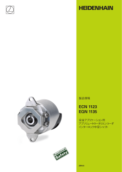 ECN 1123/EQN 1135