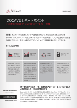 DocAve レポート ポイント
