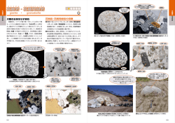 ページ見本pdf