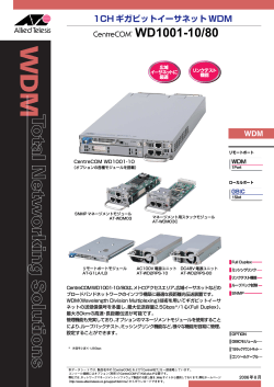 WD1001-10/80