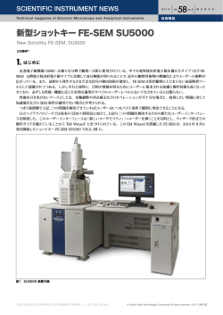 新型ショットキーFE-SEM SU5000 - Hitachi High Technologies