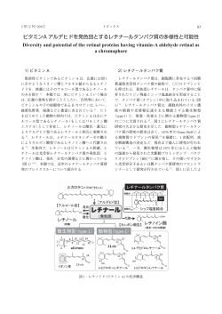 ビタミンA アルデヒドを発色団とするレチナールタンパク質の多様性と可能