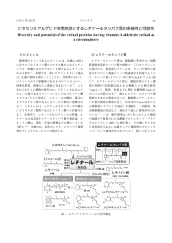 ビタミンA アルデヒドを発色団とするレチナールタンパク質の多様性と可能