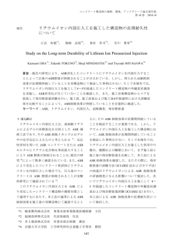 リチウムイオン内部圧入工を施工した構造物の長期耐久性 について