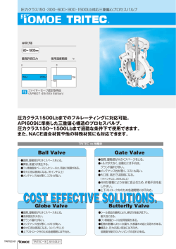 圧力クラス1500Lbまでのフルレーティングに対応可能。