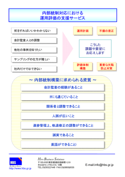 内部統制対応における 運用評価の支援サービス &sim; 内部統制構築に求め