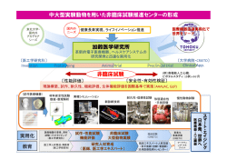 詳細（PDF 1.7MB）
