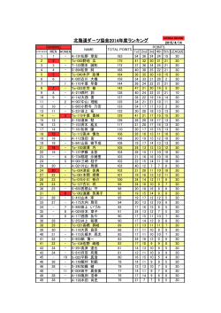 北海道ダ－ツ協会2014年度ランキング