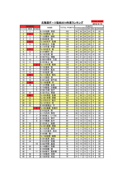 北海道ダ－ツ協会2014年度ランキング