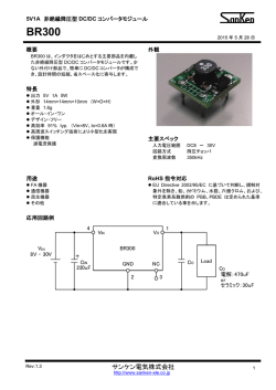 BR300 - サンケン電気 半導体デバイス