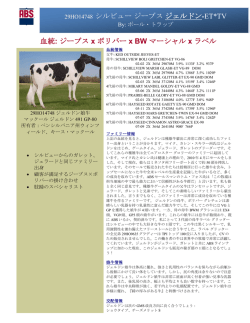 詳細を見る