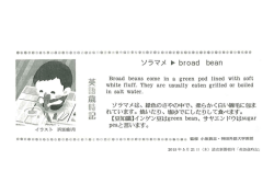 2015 年 5 月 21 日（木）読売新聞朝刊「英語歳時記」