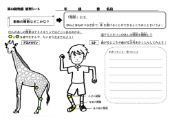 東山動物園 観察シート 年 組 番 名前 動物の関節 はどこかな？ 「関節