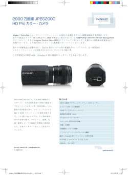 2900万画素カラーカメラ(PDF 700KB)