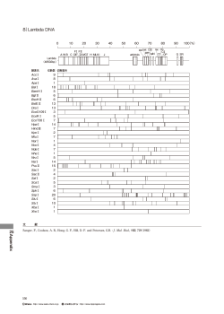Lambda DNAの制限酵素による切断数と認識塩基箇所（PDF 497KB）