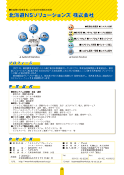 北海道NSソリューションズ 株式会社