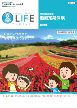 無解約返戻金型逓減定期保険 - 三井住友海上あいおい生命保険