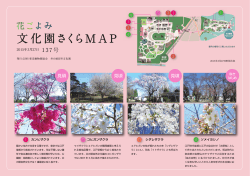 花ごよみ「文化園さくらMAP」2015年3月27日号